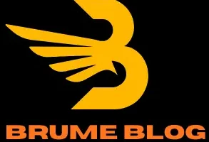 brumeblog .com